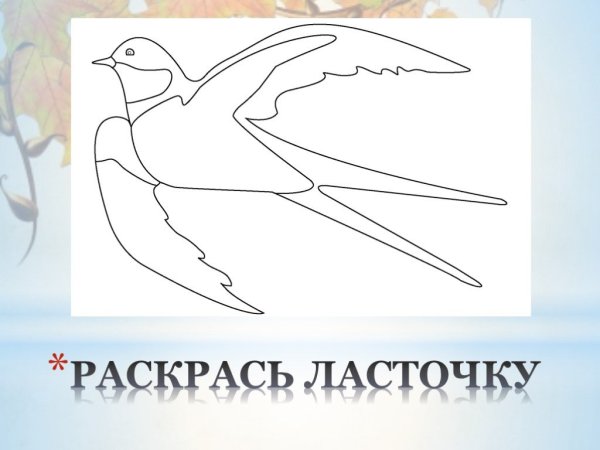 Перелетные птицы для раскрашивания детям