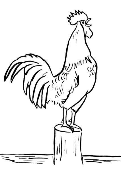 Раскраска золотой петушок Пушкина