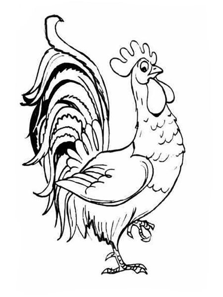 Сказка о золотом петушке Пушкин раскраска