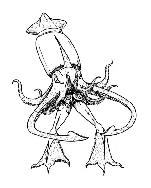 Кальмар рисунок карандашом