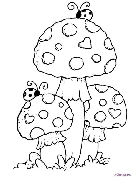 Грибы раскраска для детей