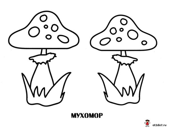 Мухомор раскраска