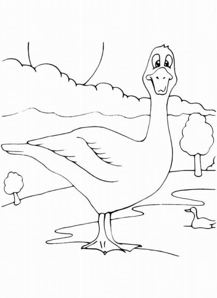 Гусь раскраска для детей