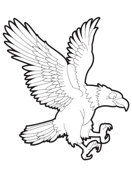 Орел рисунок