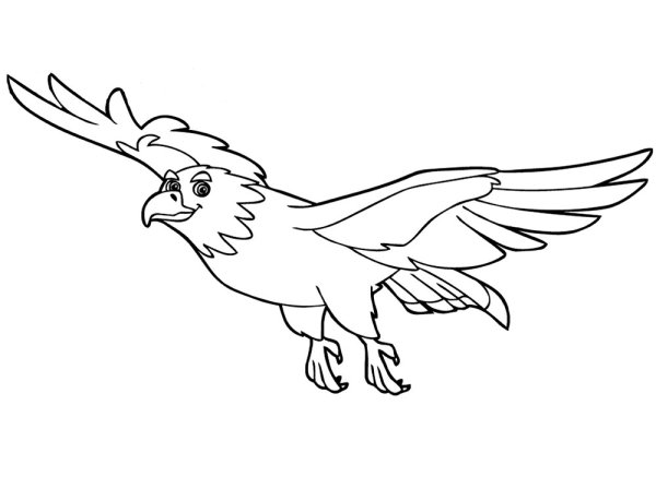 Расскраска Степной орёл