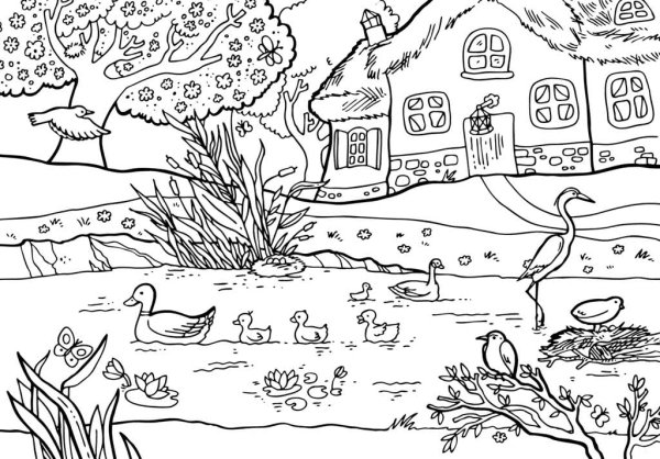 Раскраска поле