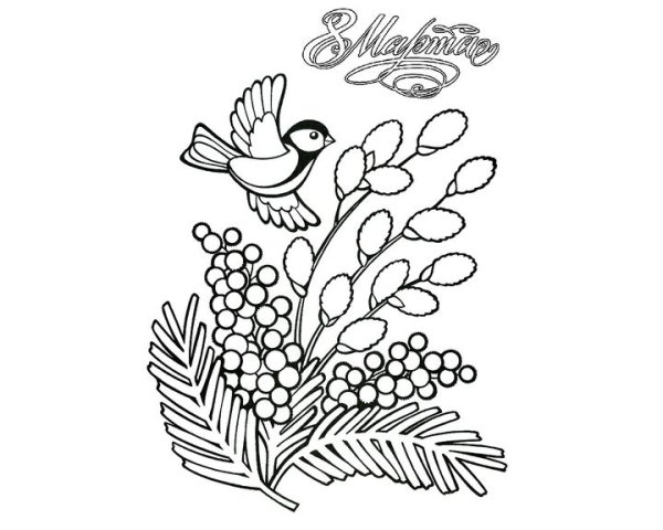 Мимоза раскраска для малышей