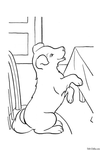 Собака раскраска на задних лапках