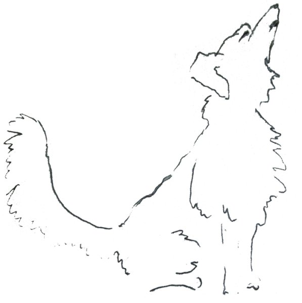 Каштанка раскраска к рассказу Чехова