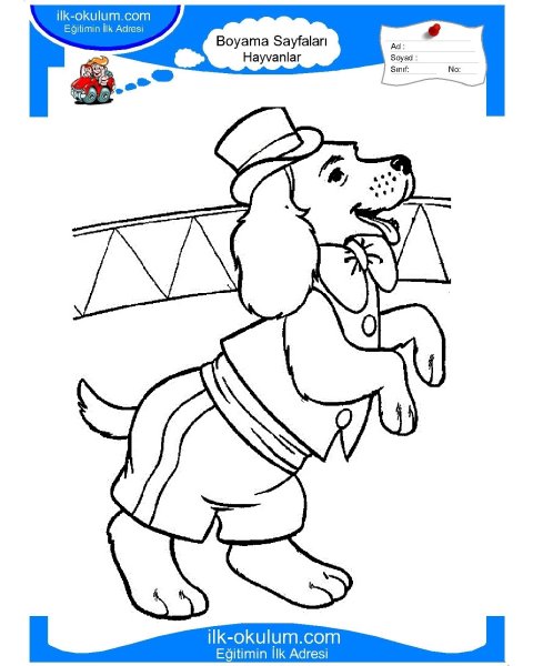 Раскраска цирковая собака