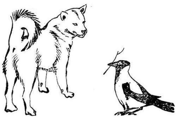 Пришвин выскочка рисунки к рассказу