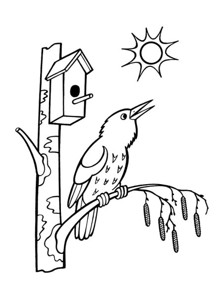 Скворечник разукрашка