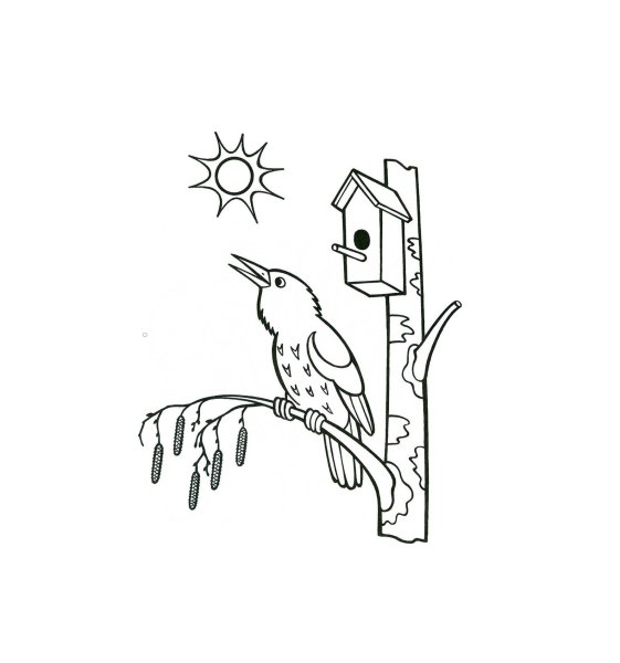 Рисование скворечник