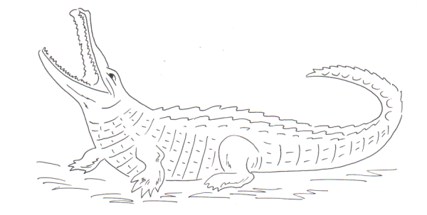 Сказки Чуковского раскраски краденое солнце