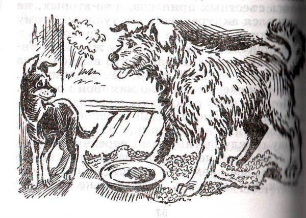 Куприн Барбос