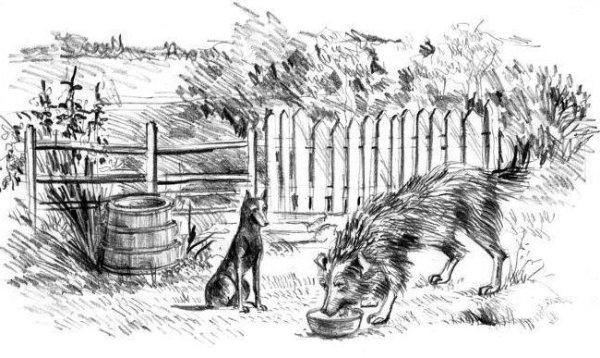 Кудрин Барбоса и Жулька