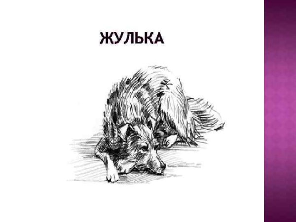 Иллюстрации к рассказу Куприна Барбос и Жулька