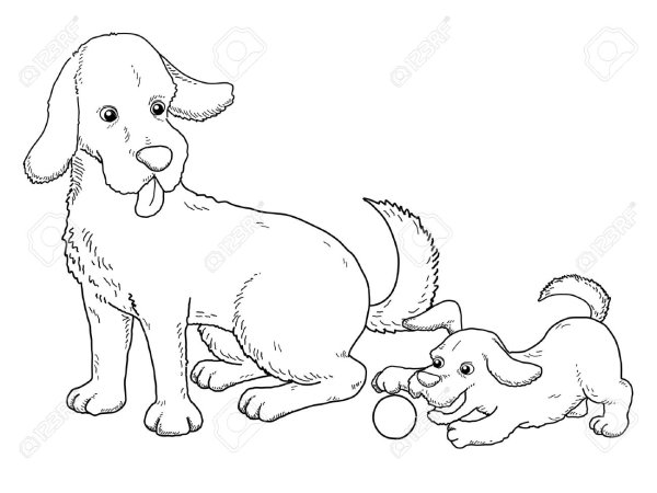 Рисовать собаку большую и собачку маленькую