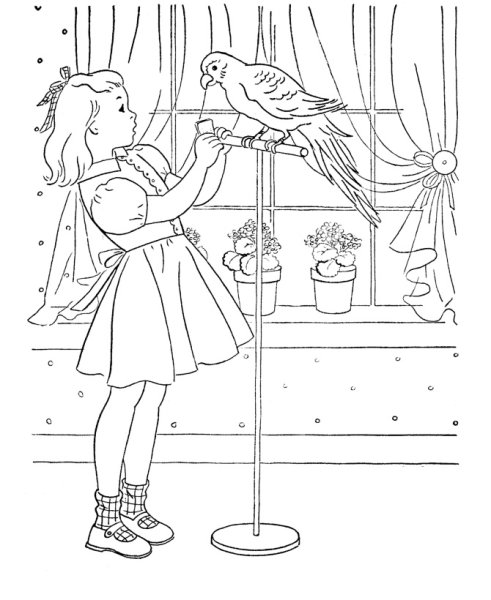 Раскраска птицы средняя группа