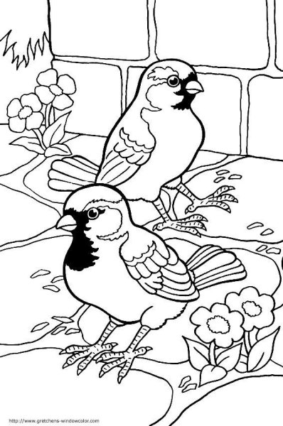 Кормушка для птиц раскраска