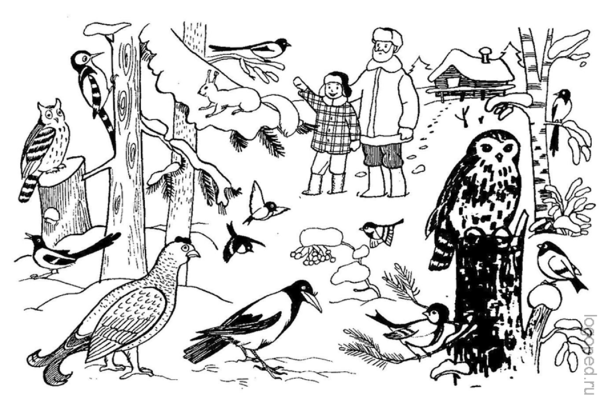 Раскраски на тему перелетные птицы