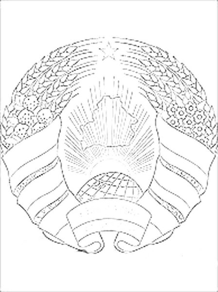 Горный ЗУБР раскраска