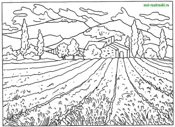 Раскраска природа