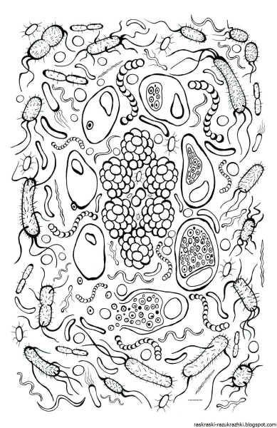 Микробы раскраска