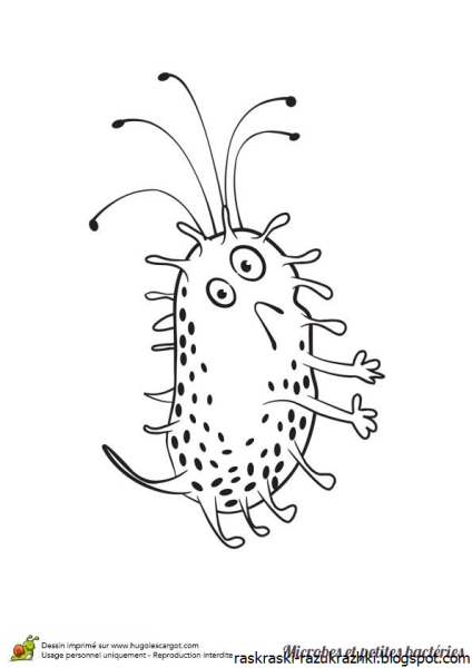 Бактерия для разукрашивания