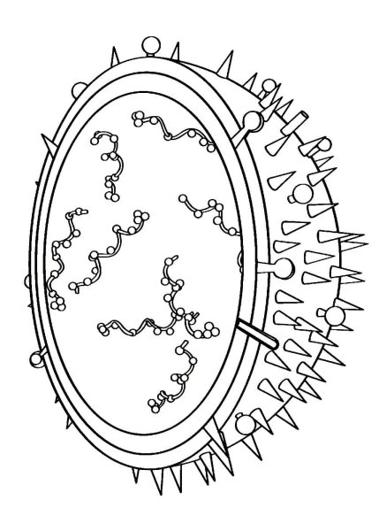Коронавирус бактерия рисунок