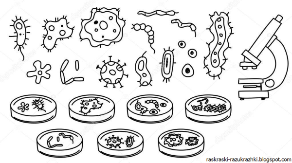 Бактерия для разукрашивания