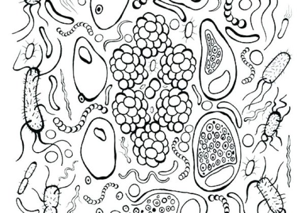 Бактерии раскраска