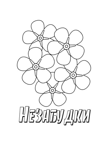 Незабудка раскраска для детей