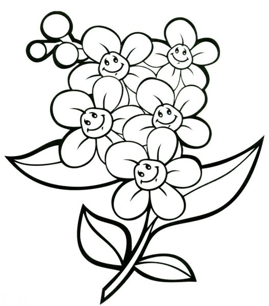 Незабудки черно белые