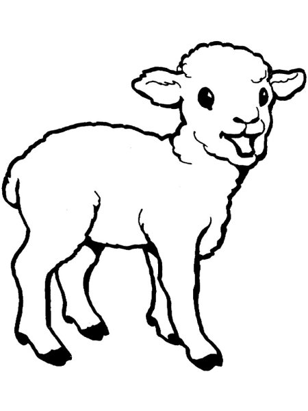 Овечка раскраска для малышей