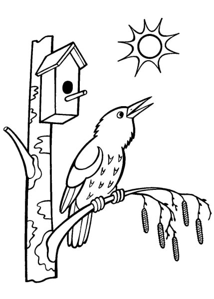 Весенние раскраски