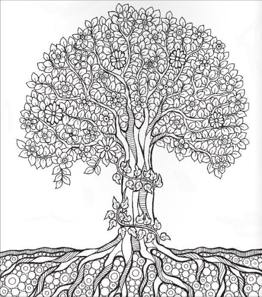 Красивое дерево раскраска