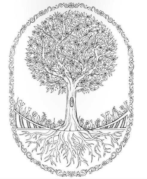 Древо жизни раскраска