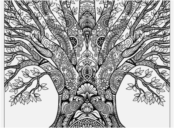 Родовое дерево с корнями