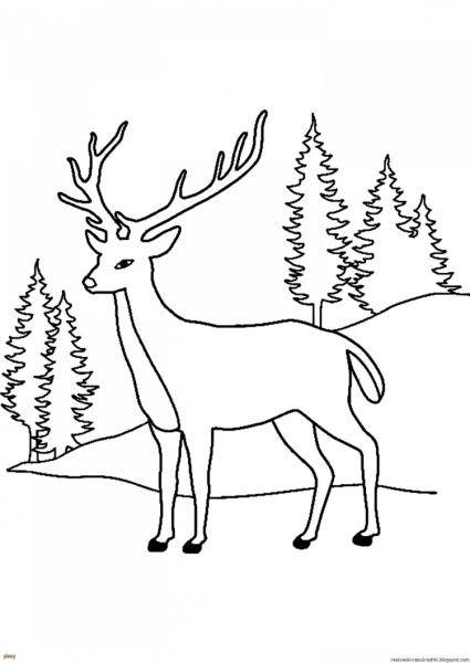 Серебряное копытце раскраска для детей