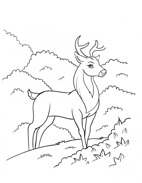 Серебряное копытце раскраска