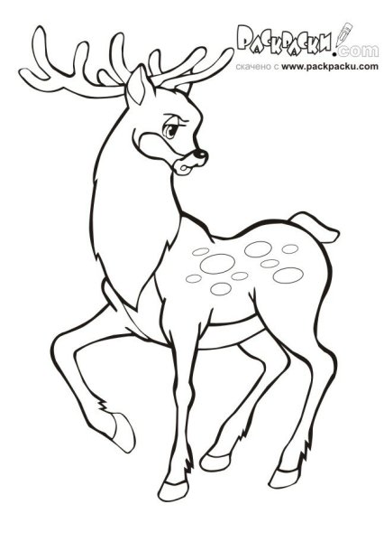 Серебряное копытце картинки раскраски