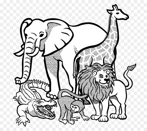 Животные Африки раскраска для детей