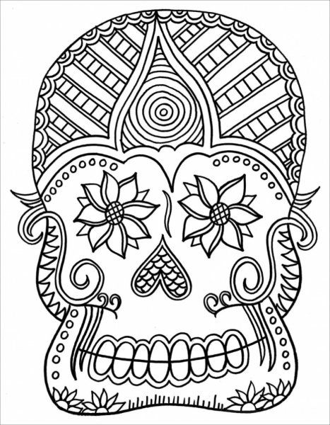 Джоанна Басфорд Сова