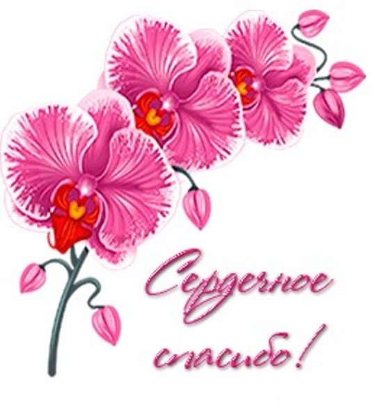 Стикеры спасибо цветы