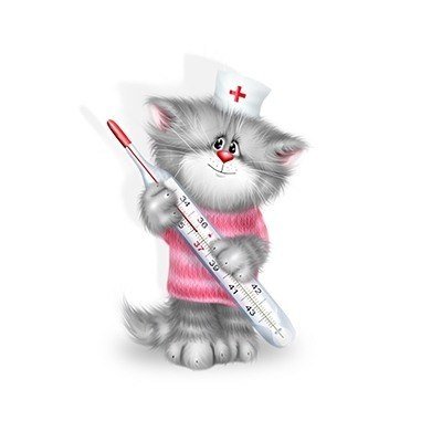 Выздоравливай кошечка