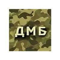 ДМБ надпись