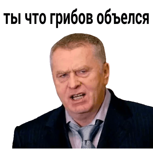 Владимир Жириновский мемы