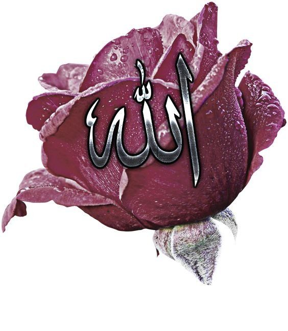 Имя аллаха красивый. Исламские надписи. Надпись с именем Аллаха. Цветы с именем Аллаха.