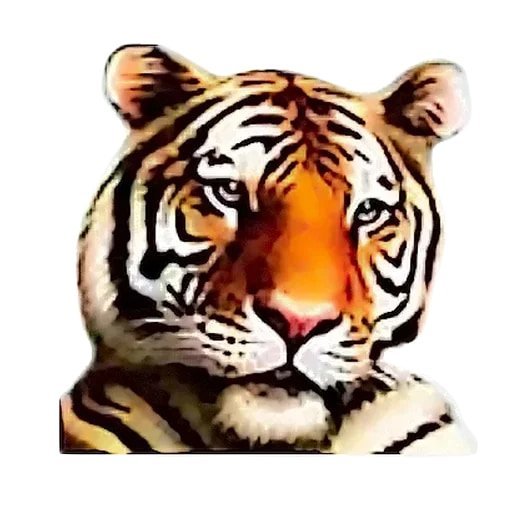 Тигран ПАПИЧ